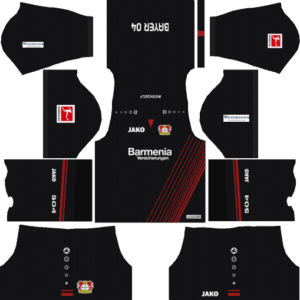 Bayer Leverkusen DLS Home Kit