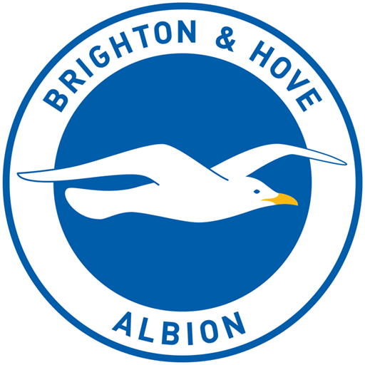 kit dls brighton