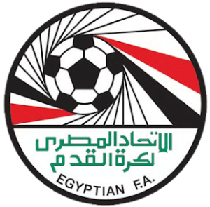 Egypt DLS Logo