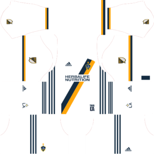 LA Galaxy DLS Home Kit