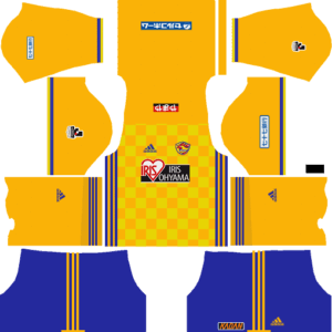 Vegalta Sendai DLS Home Kit