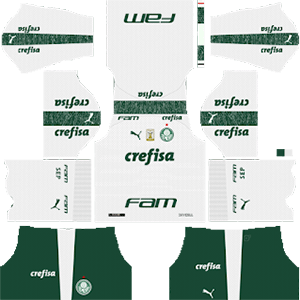 Palmeiras DLS Away Kit