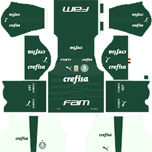 Palmeiras DLS Home Kit